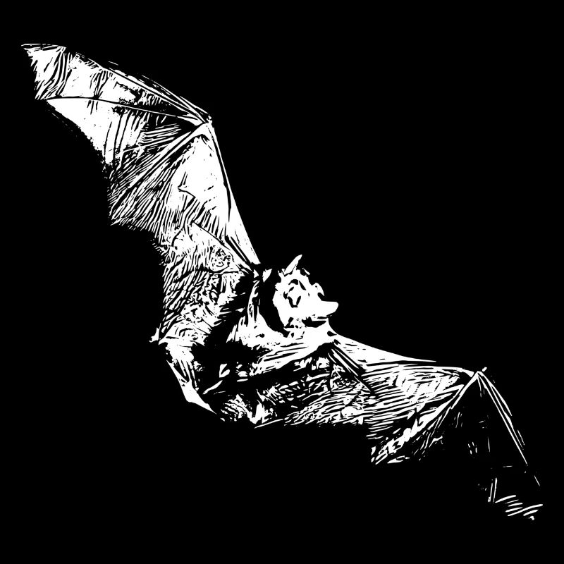 bat