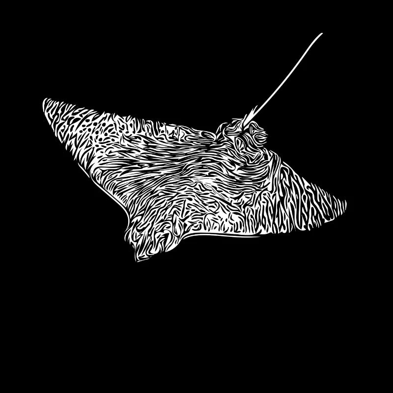 eagle rays
