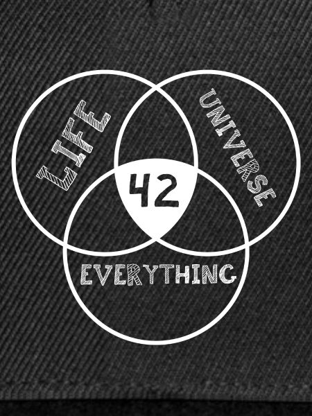 Antwort 42