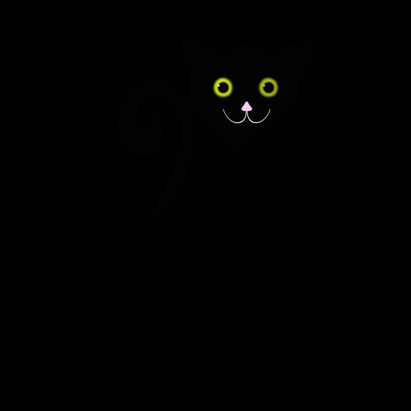 Black cat