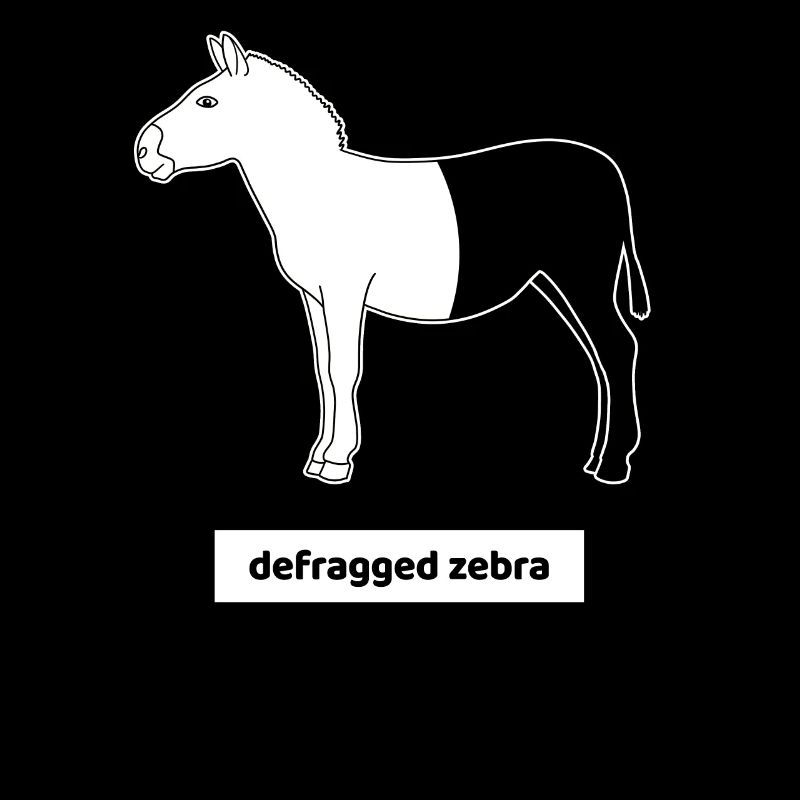 Informatiker Computer Rechner Humor Zebra Defrag