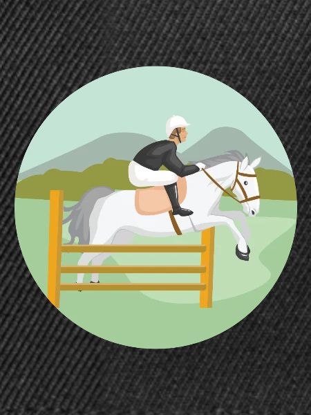 Springreiten Pferd