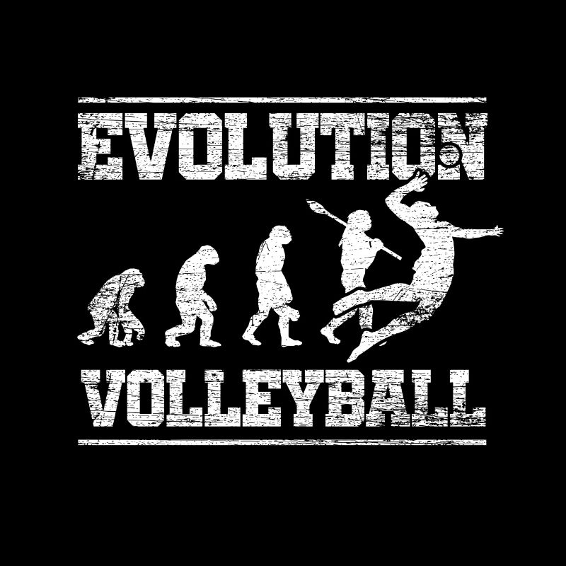 Evolution Volleyball