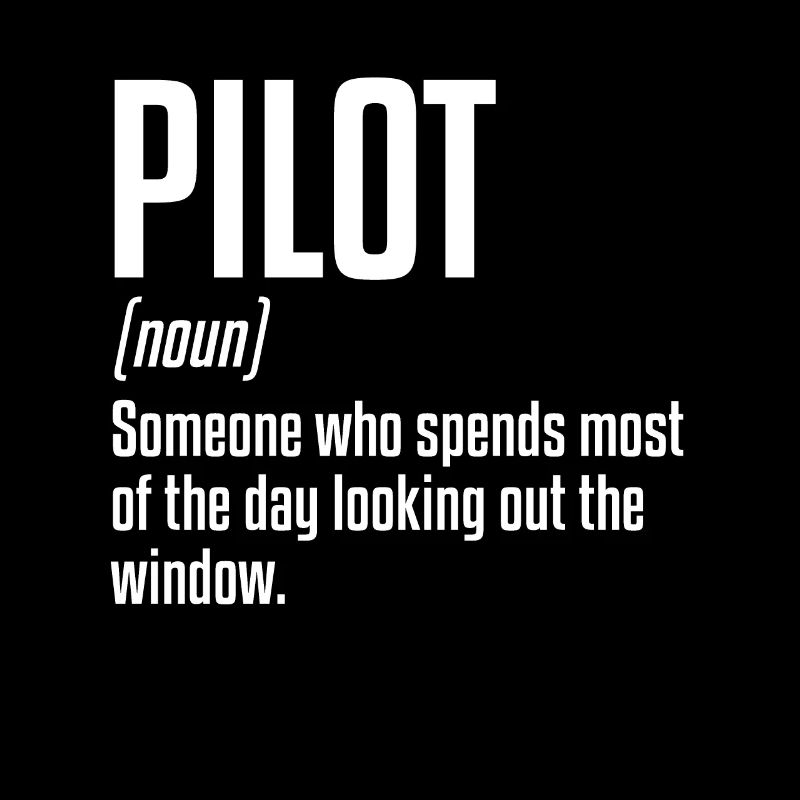 Pilot Definition | Plane, pilot