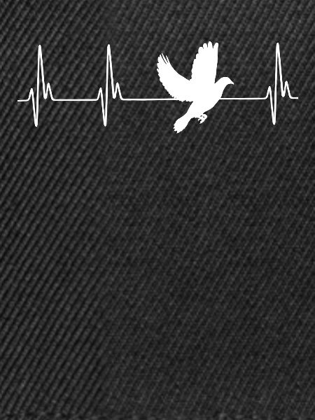 Dove ECG