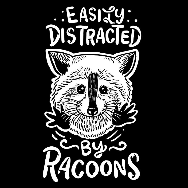 racoon
