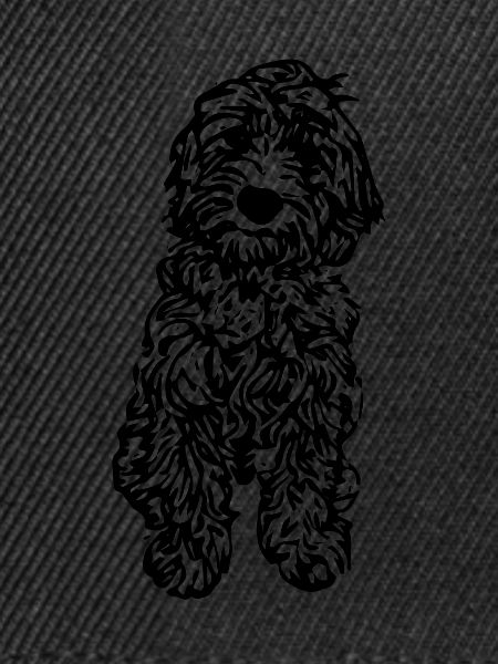 cockapoo