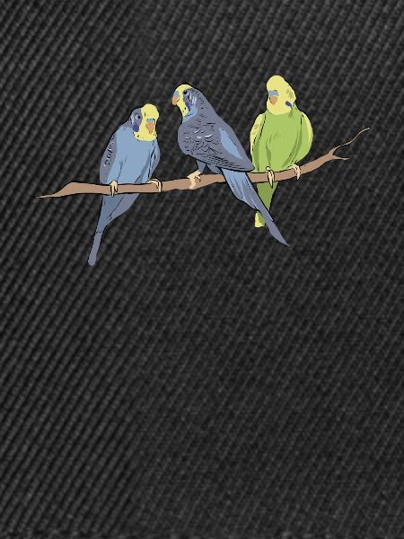 Vögel