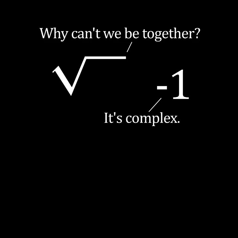 Why Cant Be Together Complex mathematician student