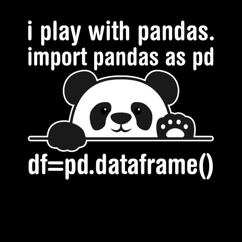 Python Programmierer IT Nerd Panda Programmierung