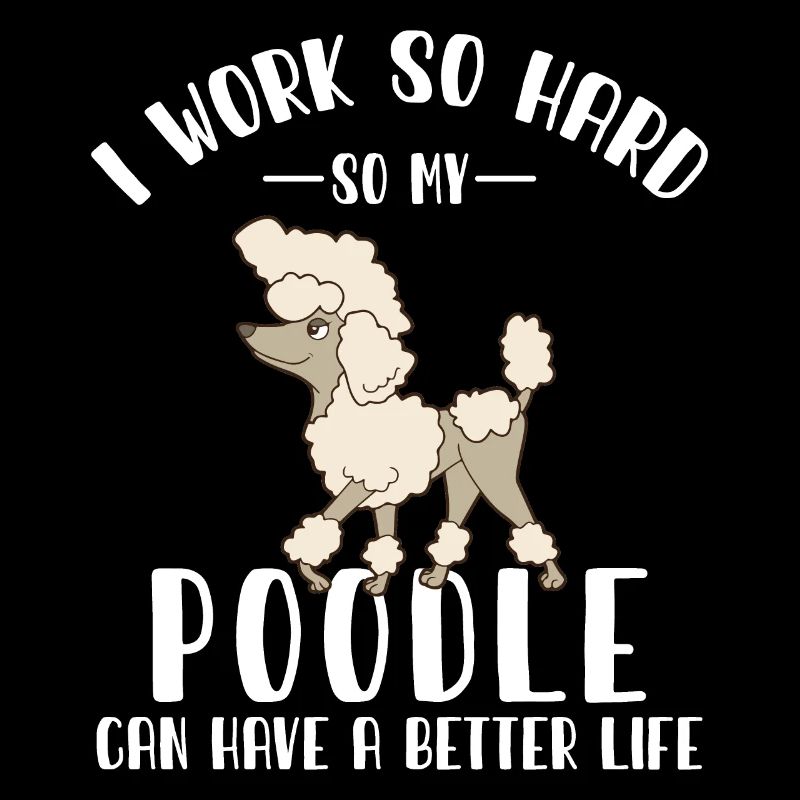 Pudel Poodle