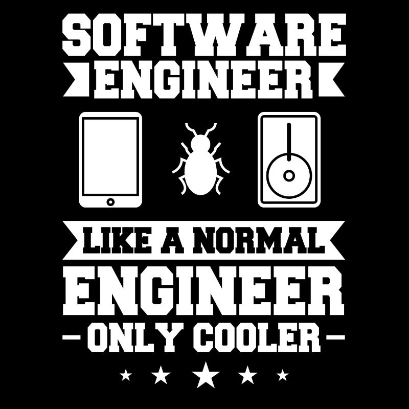 Software Engineering Softwaretechnik Ingenieur