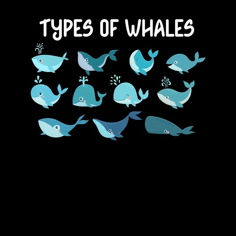 Types de baleines Whale Lovers Whales Espèces de baleines