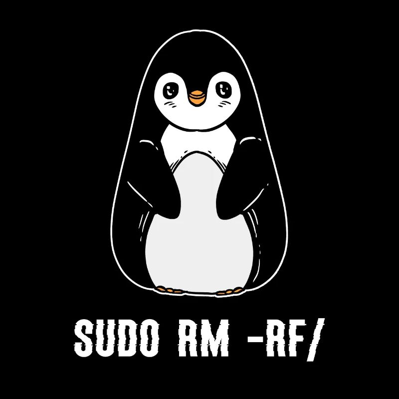 sudo rm rf / Linux Computer Programmer