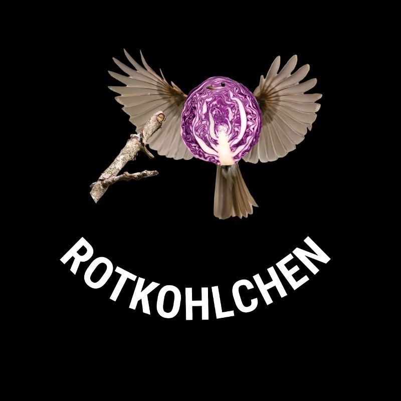 Rotkohlchen Meme Vogel Rotkelhlchen