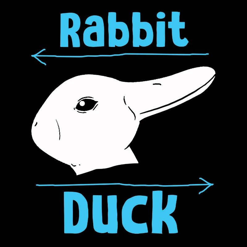 Wittgenstein lapin canard illusion