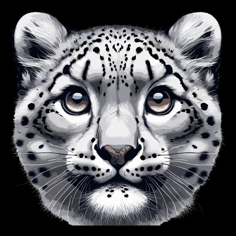 Snow Leopard Leopard White Leopard