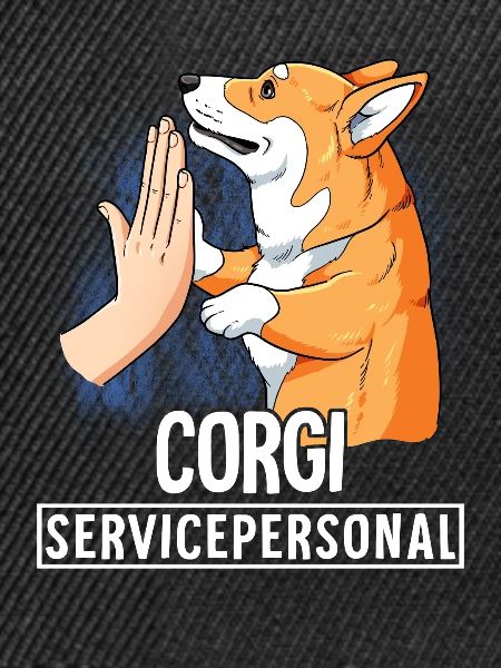 Corgi