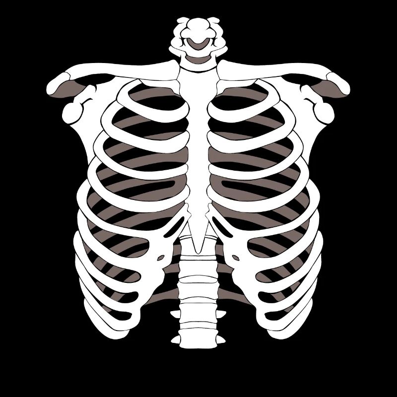 Skeleton skeleton Halloween bone skeleton skeleton