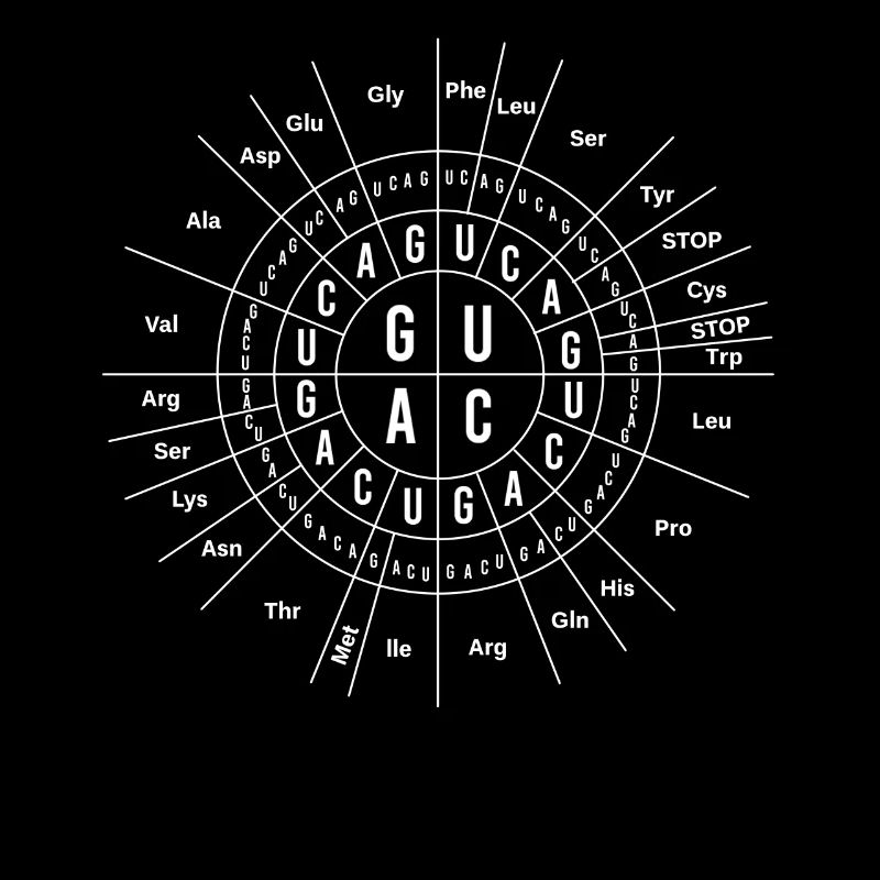 Great Biology Genetics, Sun Code, Funny
