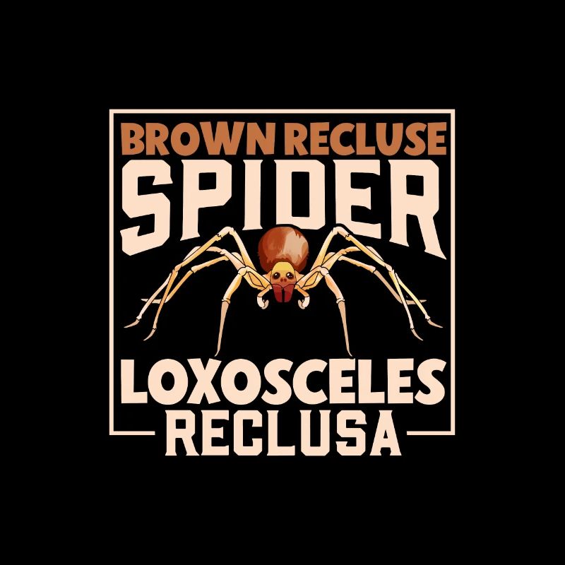 Brown Recluse Spider