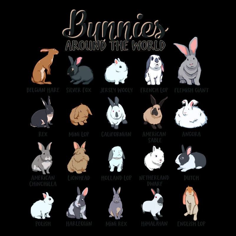 Lapins du monde - Races de lapins