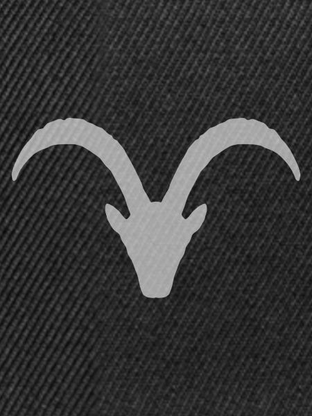 Steinbock