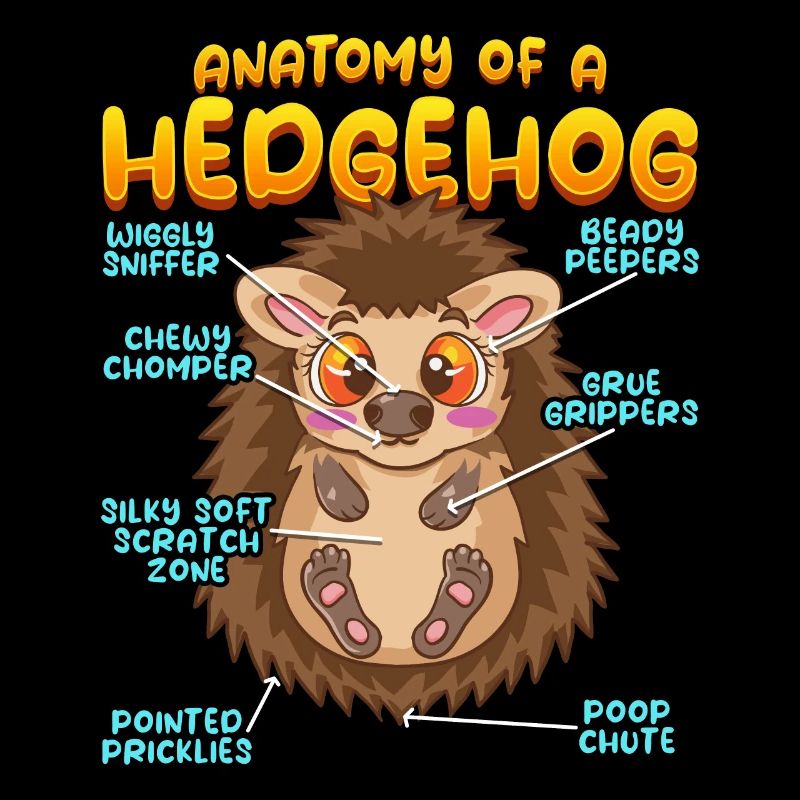 Anatomie d’un hérisson amusant