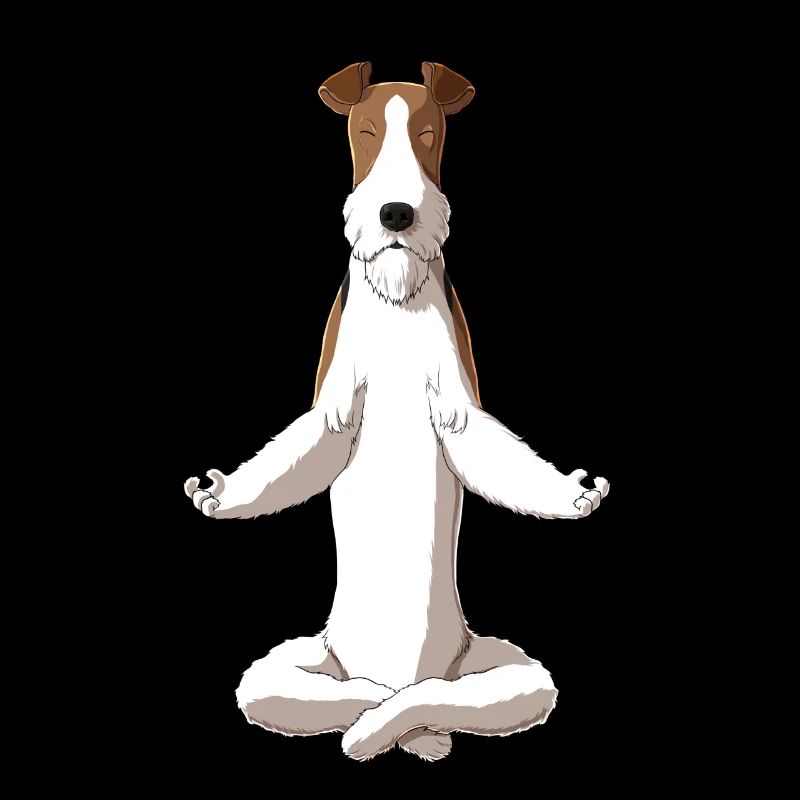 Meditating Wire Haired fox Terrier Dog