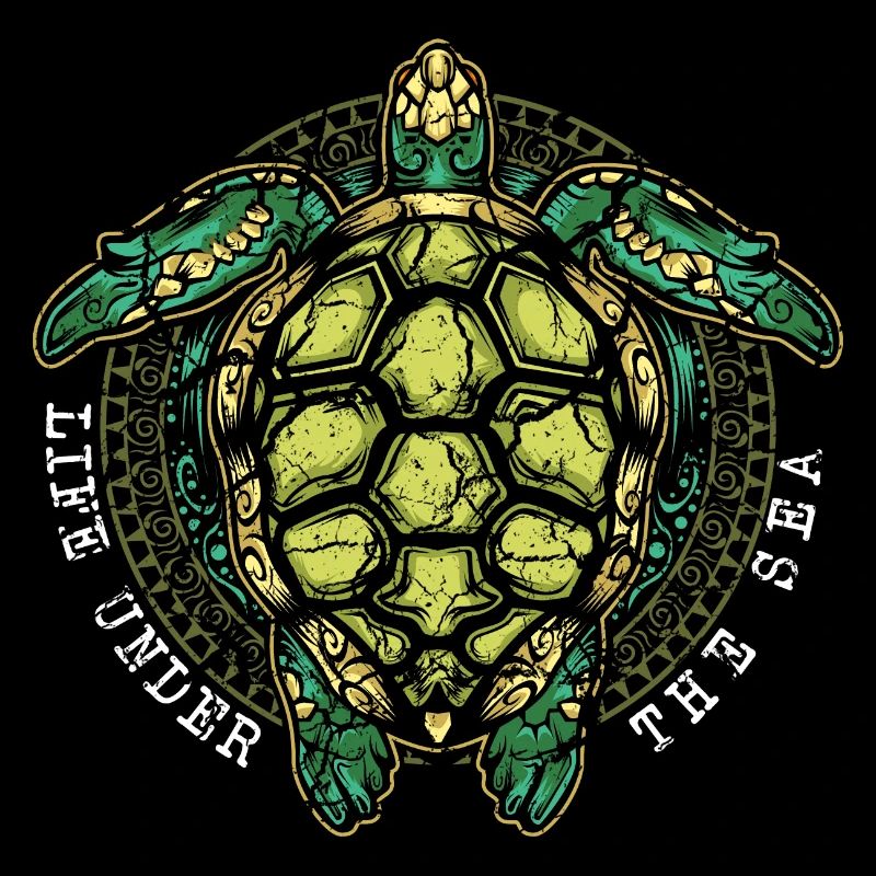 Turtle turtles
