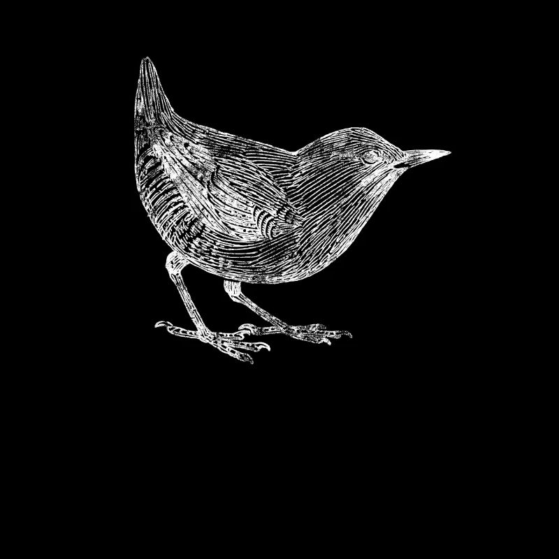 Vogel