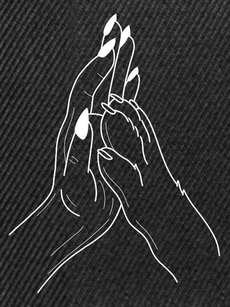 Hand Pfote Highfive