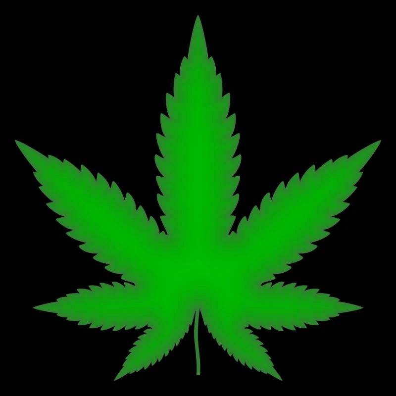 Marijuana leaf