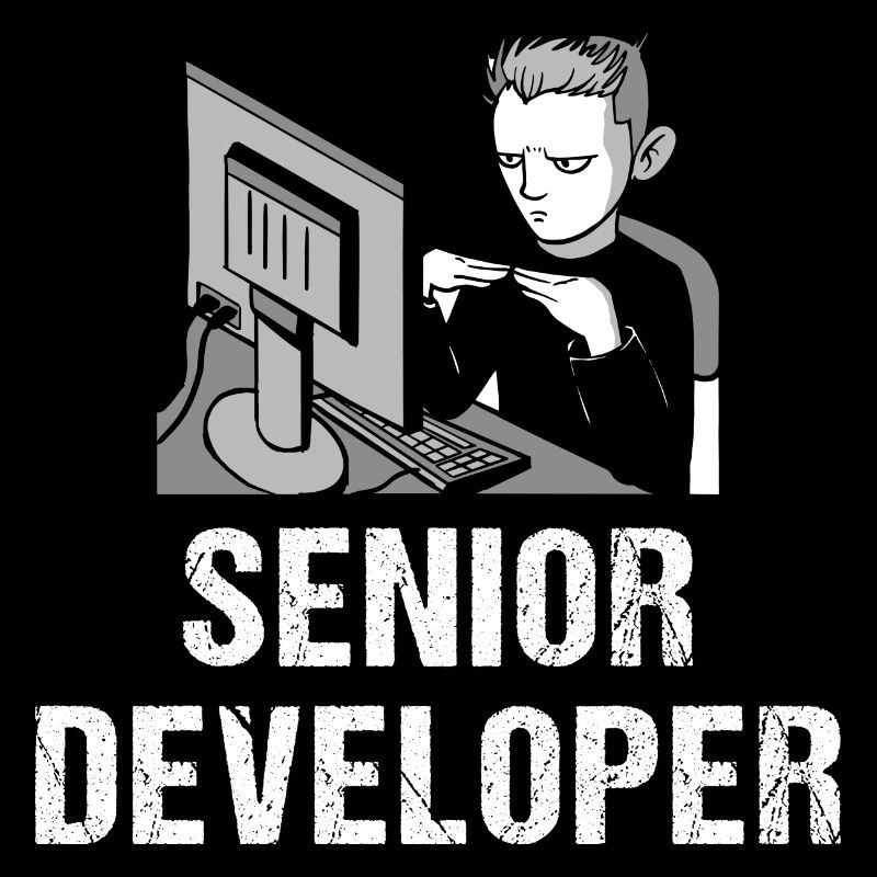 Programmierer Programmierung Informatik Computer