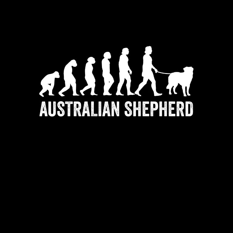 Australian Shepherd Evolution