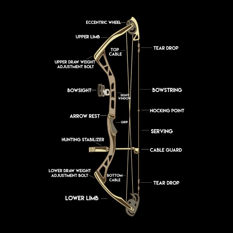 Anatomie d'un arc | Composé de tir à l'arc Arrow