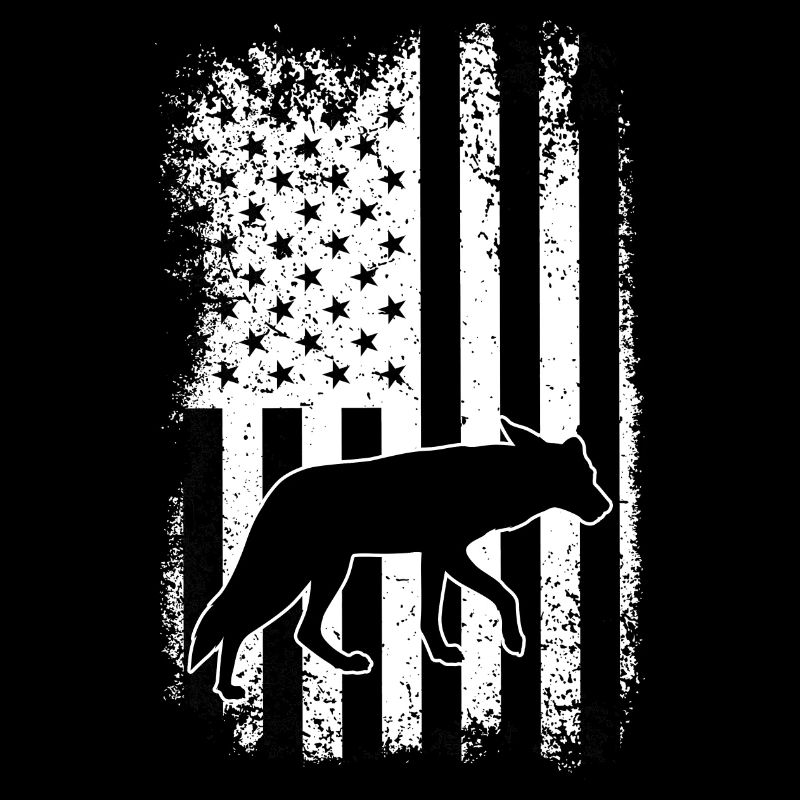 Conception de coyote pour les réacteurs de coyote