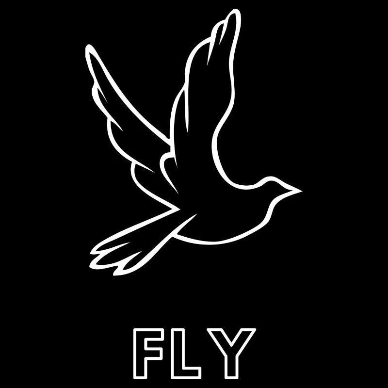 Fly