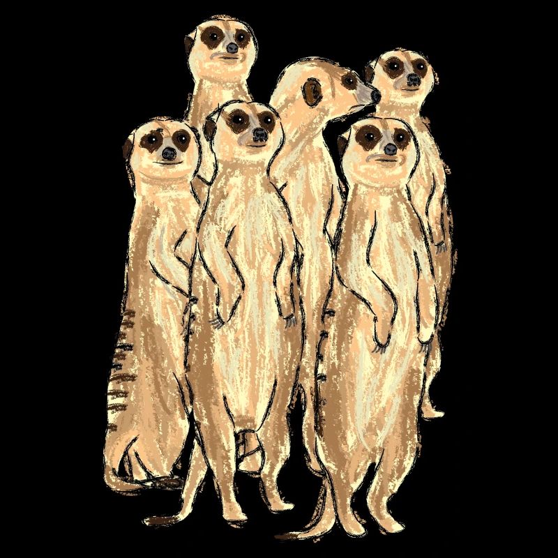 Conception de suricate / suricate