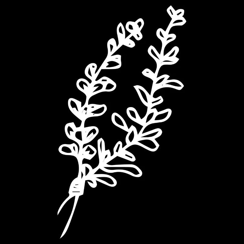 Plant in white Gift idea