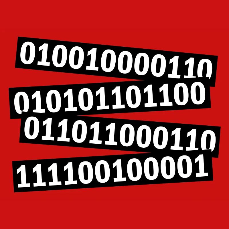 Langage de programme de code binaire