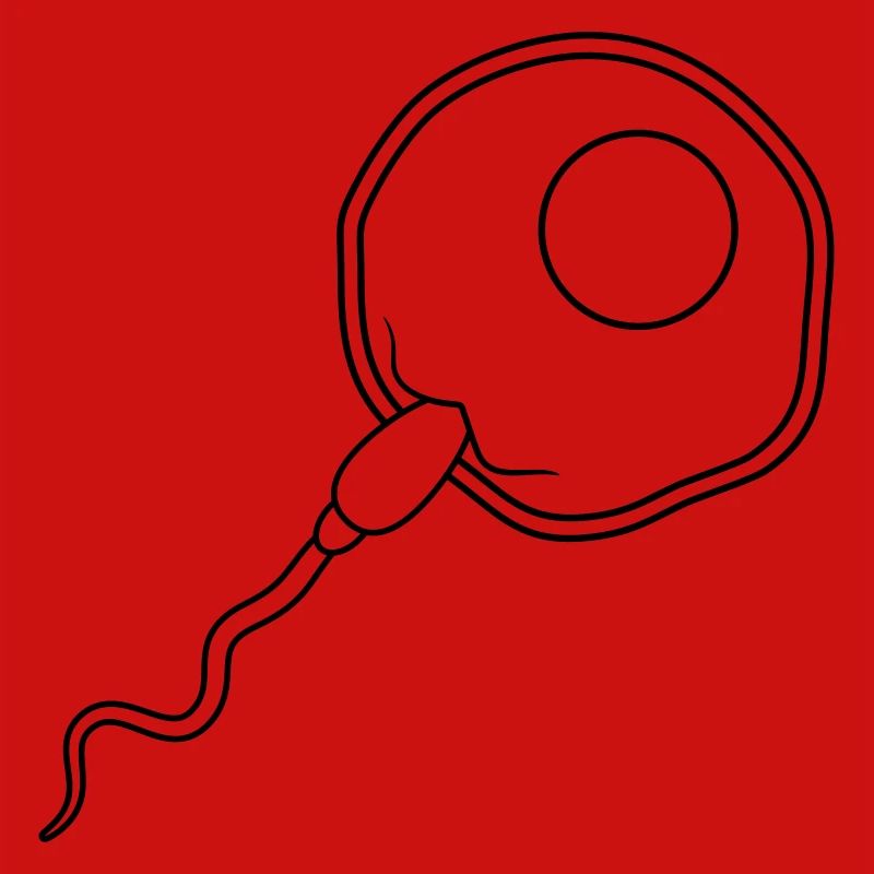 fertilization egg insemination egg sperm sperm