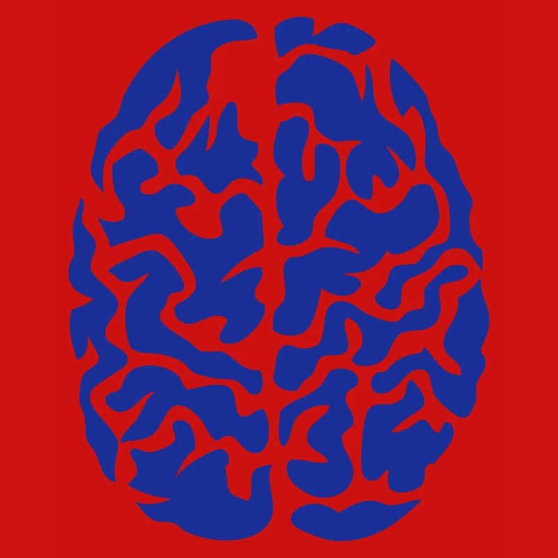 brain seen on drawing