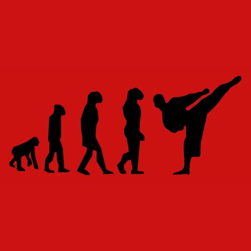 karate evolution