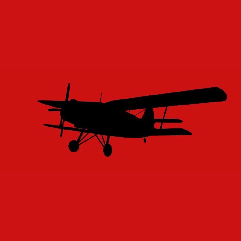 Doppeldecker Flugzeug