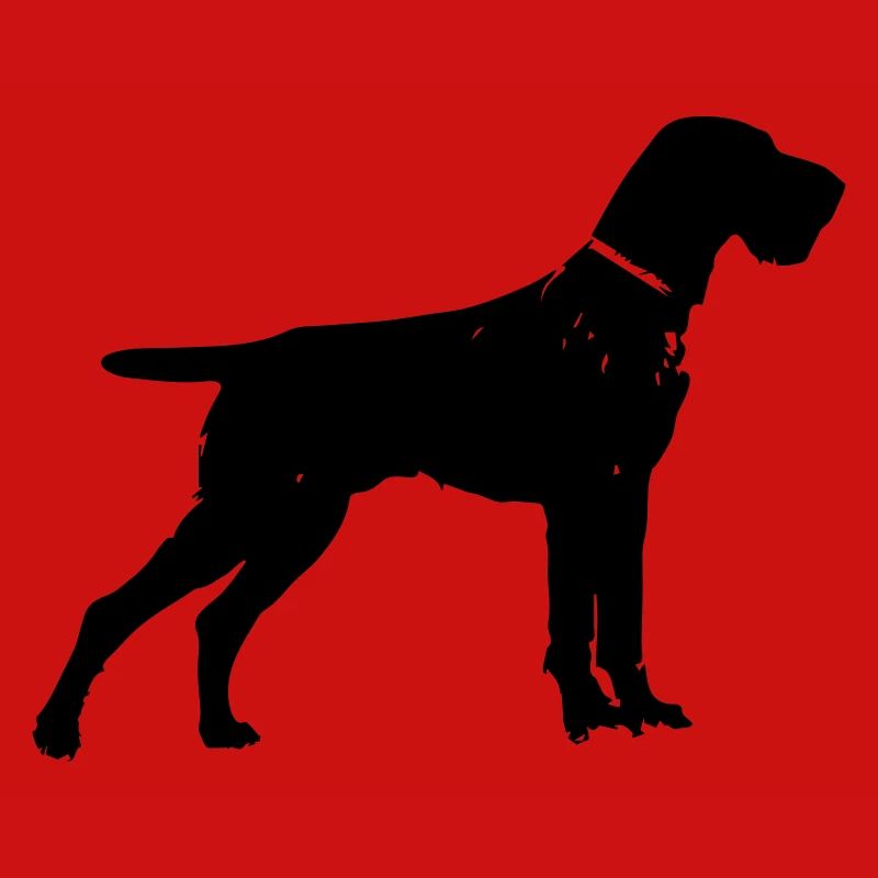 German Wirehaired Pointer