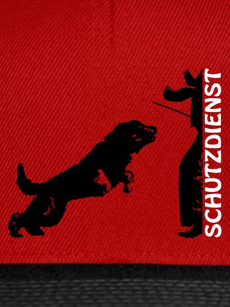 Schutzdienst mit Bouvier