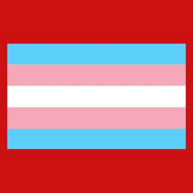 Drapeau Trans