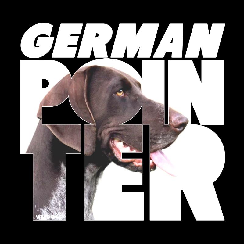 German Pointer VI