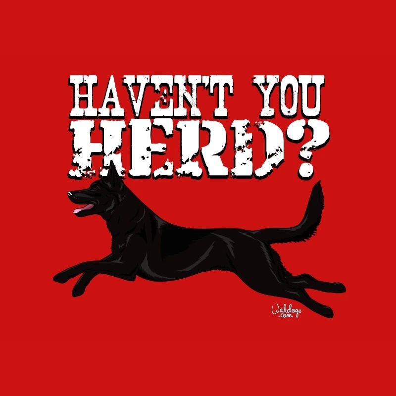 kelpieherd2